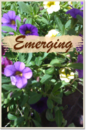 Emerging Audio