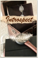 Introspect Audio